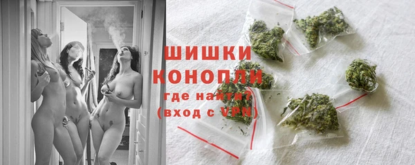 стаф Ростов