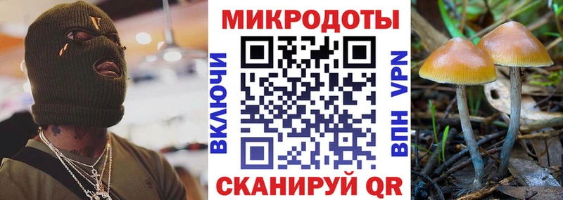 купить закладку  Пошехонье  Галлюциногенные грибы Magic Shrooms 